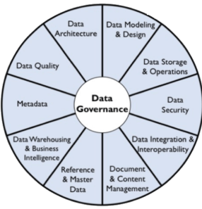 DAMA International | Data Governance Matrix Image