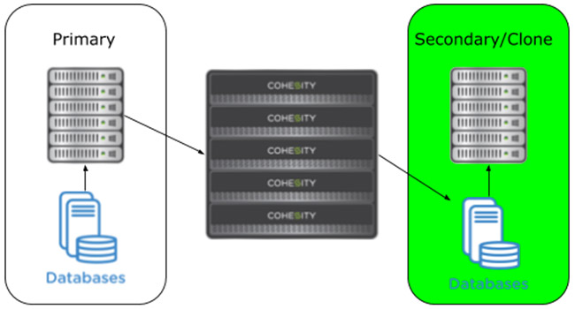 Advanced Microsoft SQL Database Cloning For Test/Dev Workflows | Cohesity